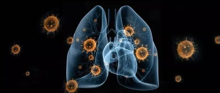 1582598452(1).jpg 1582598452(1).jpg