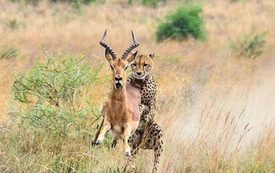 1582611756(1).jpg 1582611756(1).jpg